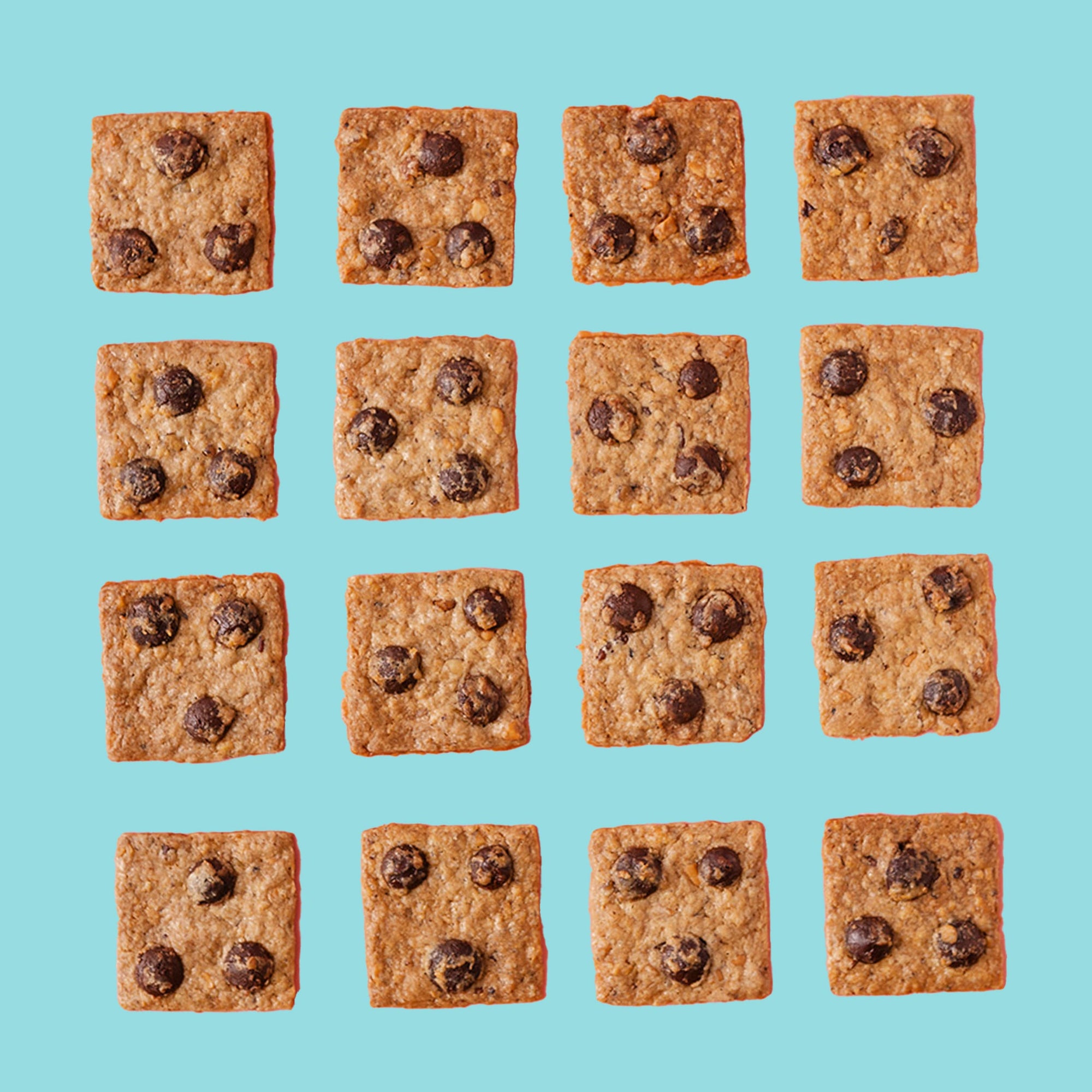 Holiday Treats Christmas Tin 15s