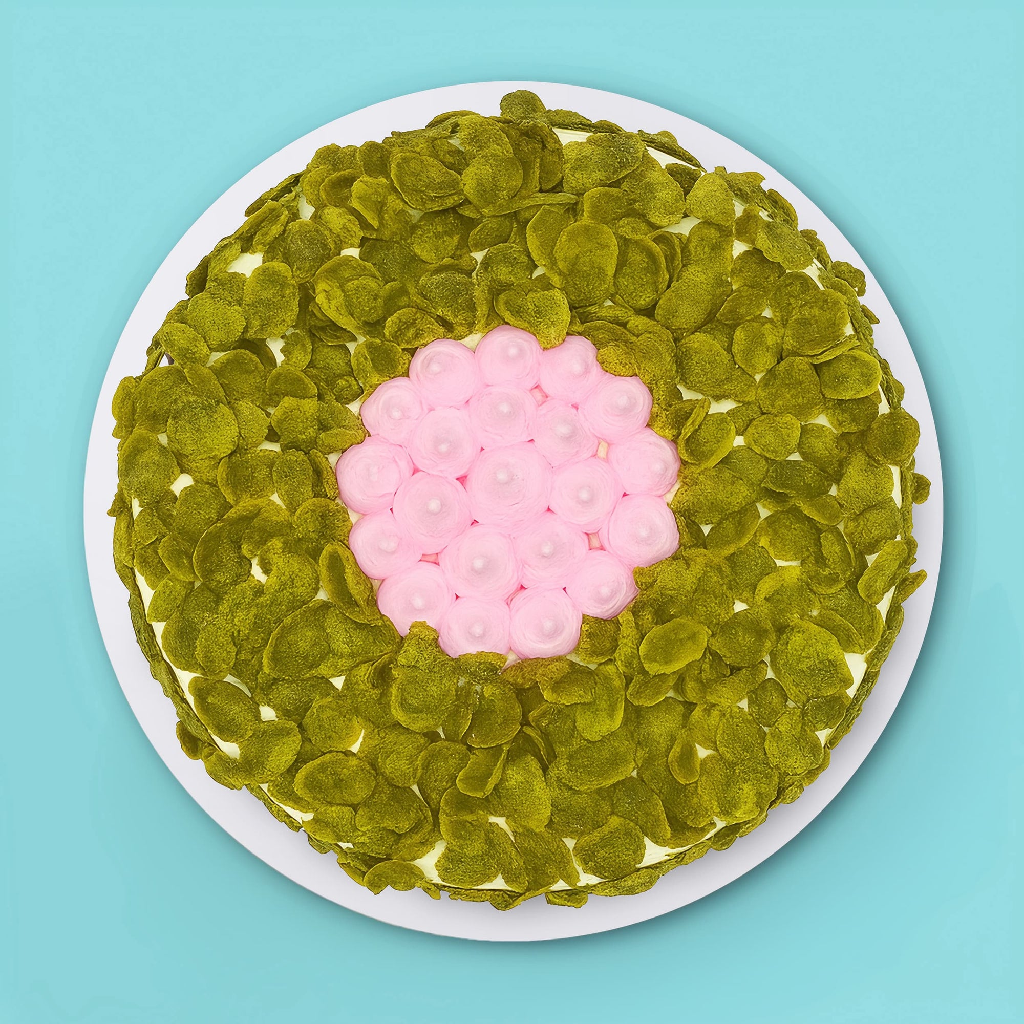 Matcha Strawberry Cake