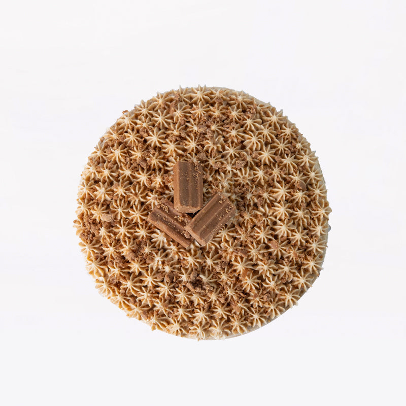 Choc'nut Chocolate Dream Cake