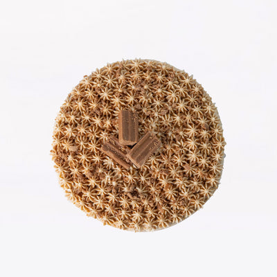 Choc'nut Chocolate Dream Cake