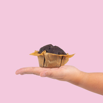 Classic Chocolate Muffins
