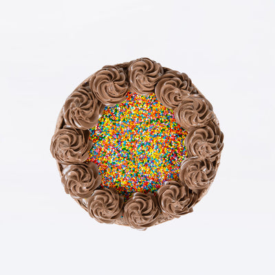Chocolate Rainbow Sprinkles Cake