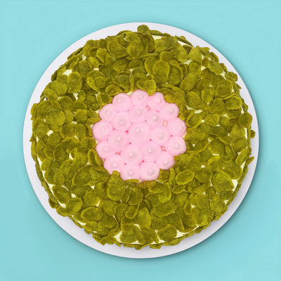 Matcha Strawberry Cake