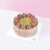 Chocolate Rainbow Sprinkles Cake