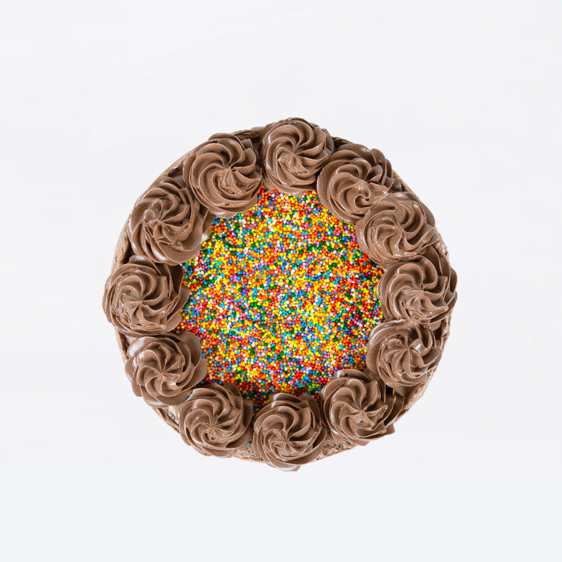 Chocolate Rainbow Sprinkles Cake