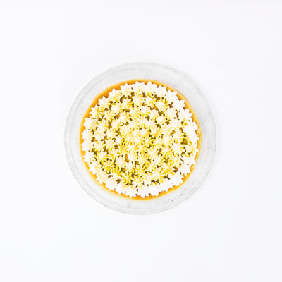 Matcha Cheesecake